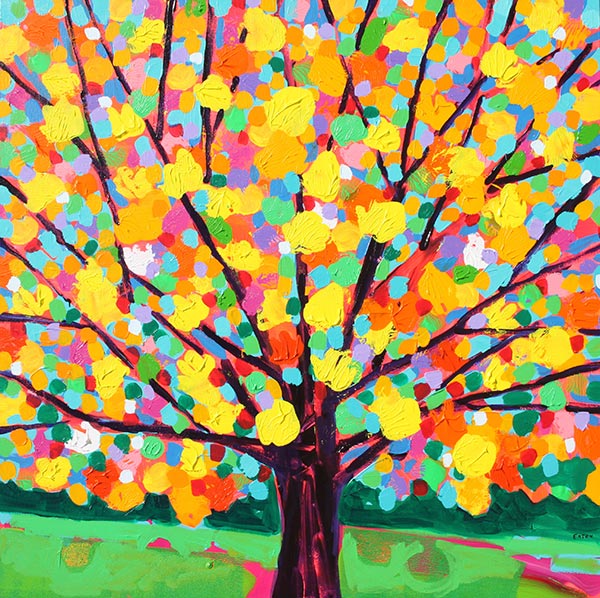 Yellow Maple