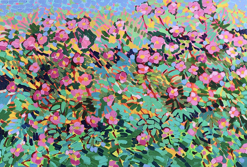 Wild Summer