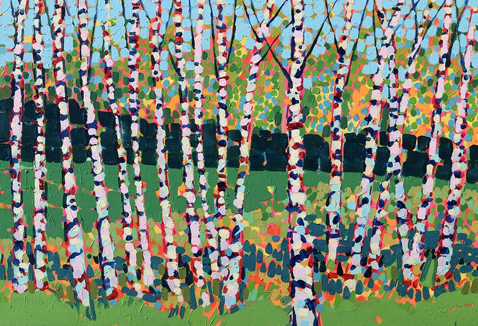 Birch In The Park