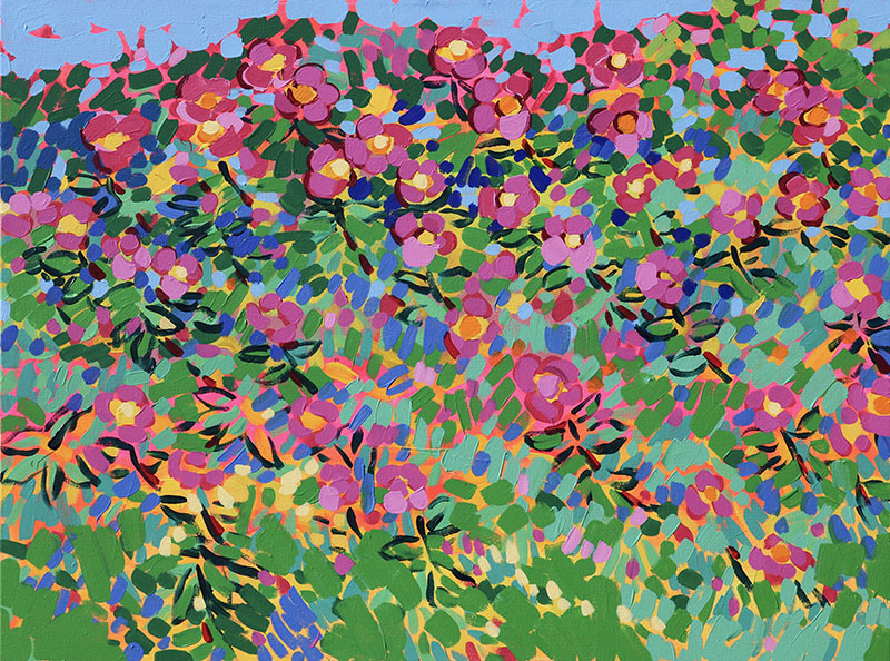 Wild Roses