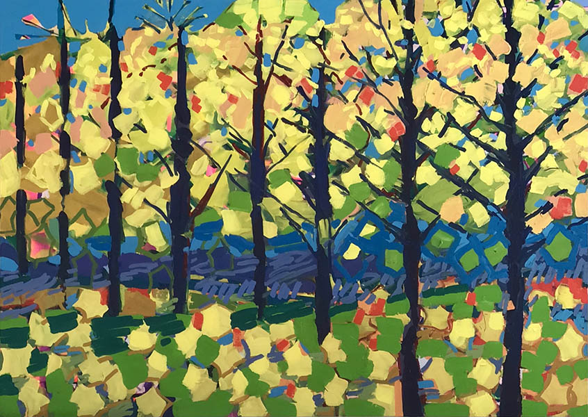 Autumn Maples