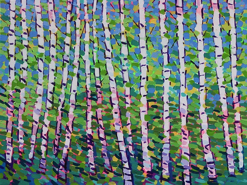 Summer Light Birch Trees