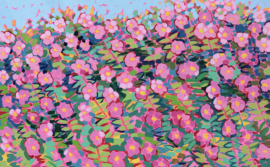 Rockport Roses